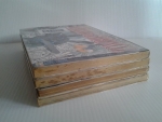 ZOMBIEPOWDER ซอมบี้พาวเดอร์ 4 เล่มจบ / TAITO KUBO