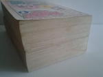 ซัินชิโร่X2 2 เล่มจบ(หนามาก) / นิวโปรเจ็ค ///// ขายแล้วค่ะ
