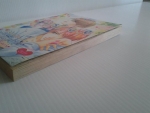 เฟิรสต์เลิฟ 36 เล่มเดียวจบ / หมึกจีน