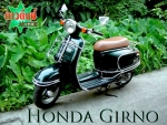 honda giorno honda-scoopy 50cc