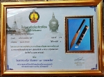 มีดหมอหลวงพ่อจ้อย นครสวรรค์ ด้ามอุดผงยาว 9 นิ้วด้ามไม้ฝักไม้ ติดรางวัลที่3