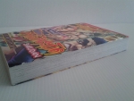 ไอ้ห้าวกำปั้นดินระเบิด / AKIRA MIYASHITA / มือ 1 /////ขายแล้วค่ะ