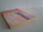 ชีวิตใหม่ที่ปลายทางรัก / สยามอินเตอร์ /////ขายแล้วค่ะ