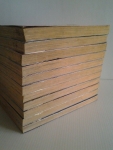 Eagle ผ่าทำเนียบพญาอินทรี 11 เล่มจบ / บูรพัฒน์ /////ขายแล้วค่ะ