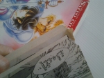 มงกุฏมาดอนน่า 3 เล่มจบ / Collection Love Comics /////ขายแล้วค่ะ