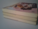 หนุ่มหล่อสุดเอ๋อกับยัยเจ๋อสุดซ่าส์ เล่ม1-3 จบ / Wang Gi-dae เขียน /////ขายแล้วค่ะ