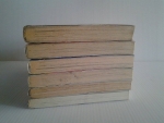 REC ปิ๊งรักสาวนักพากย์ 1-6 จบ/////ขายแล้วค่ะ