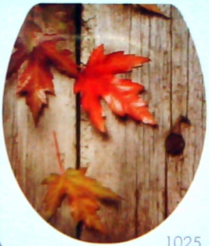 wc 019
