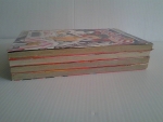 เบสบอลหัวใจกะเปิ๊บ 1-4 / HIDEKI OHWADA