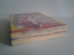 Gaiety fantasy school และ Gaiety ภาค RUNS / จบในฉบับ /////ขายแล้วค่ะ