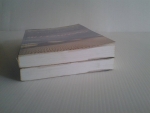ฟ้าจรดทราย 2 เล่มจบ / โสภาค สุวรรณ/////ขายแล้วค่ะ