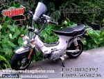 ขาย Honda ชาลี Gorilla 50.cc Chappy ชิปปี้