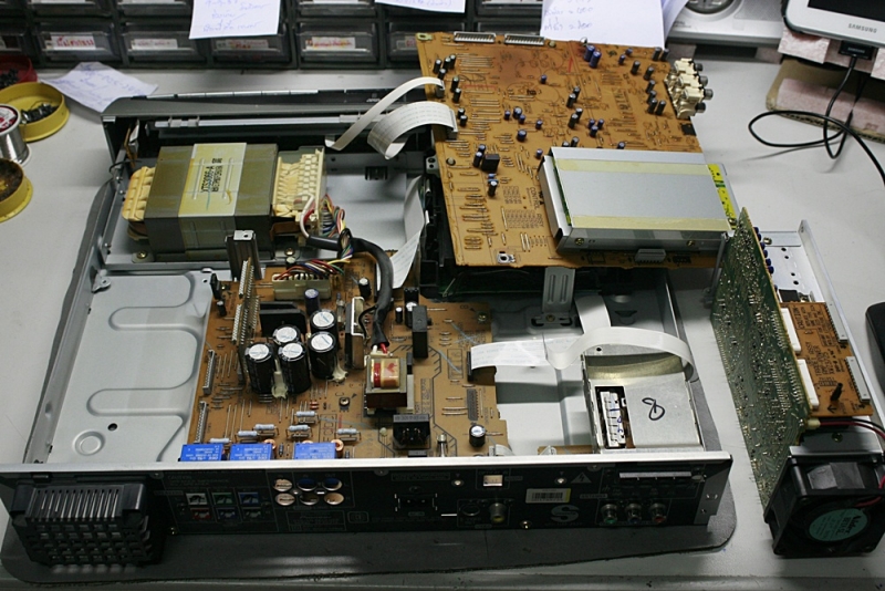 XV-DV313