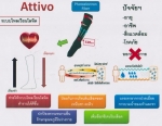 ถุงเท้าที่ถักทอด้วยเส้นใยบำบัดอัจฉริยะเพื่อสุขภาพและสรีระที่งดงาม ถุงเท้าที่ถักทอด้วยเส้นใยบำบัดอัจฉริยะเพื่อสุขภาพและสรีระที่งดงาม