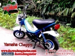 ขาย Honda ชาลี Gorilla 50.cc Chappy ชิปปี้