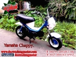 ขาย Honda ชาลี Gorilla 50.cc Chappy ชิปปี้