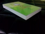 เรือนริษยา