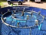 น้ำพุ ฮวงจุ้ย หน้าบ้าน คุณ อุษา บ่อน้ำพุวงกลม