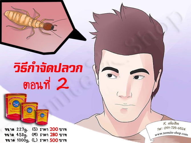 วิธีกำจัดปลวก ตอนที่ 2