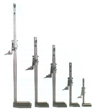 เวอร์เนียไฮเกจ Vernier Height