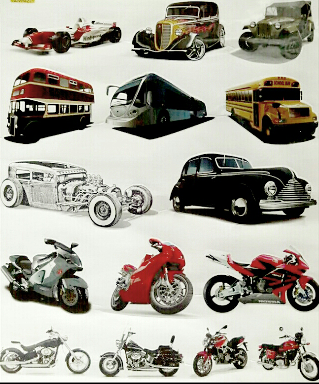 สติ๊กเกอร์ติดผนังบ้าน 50x70 cm.