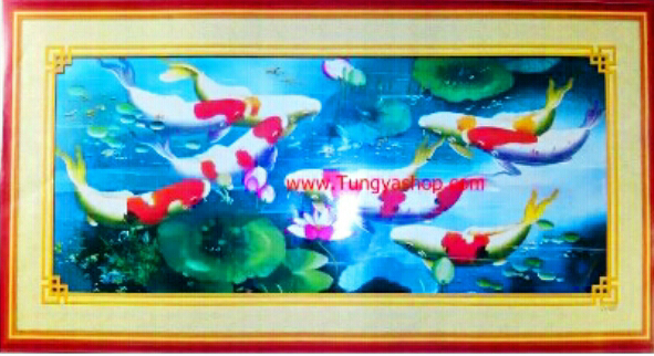 ปลาคราฟท์ 33x60 cm.
