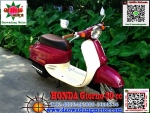 honda giorno honda-scoopy 50cc