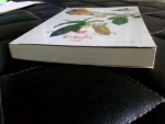 รักรินใจ  (จอง   รอชำระเงินค่ะ)