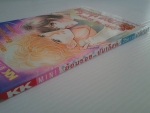 ย้อนรอยปมเลือด / KK MINI/////ขายแล้วค่ะ
