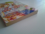 นักรักจอมปลอม / หมึกจีน /////ขายแล้วค่ะ