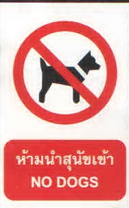 ห้ามนำสุนัชเข้า PA020
