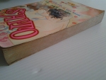 SAITO รักเอย / รวมผลงานของSAITO CHIHO/////ขายแล้วค่ะ