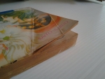 ซ้อนรักข้ามเวลา / IKEZAWA SATOMI /////ขายแล้วค่ะ