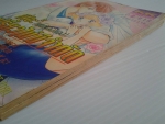 มิโอะ(ยกกำลังสอง)เปรี้ยวไม่มีจำกัด / HASEBE YURI/////ขายแล้วค่ะ