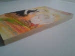 ฝากฝันไว้ ณ ปลายฟ้า / TAKASE RYO/////ขายแล้วค่ะ