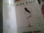 RIDE BACK ไรด์แบ็ค 10 เล่มจบ / KASAHARA Tetsuro