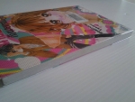 นางฟ้าแอบร้ายกับนายแสนซื่อ / HOSHIMORI Yukimo /////ขายแล้วค่ะ