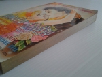 พยัคฆ์ร้ายหัวใจจ๊าบ / URAKAWA KAYA /////ขายแล้วค่ะ