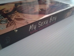 My Sexy Boy รักร้ายๆของก้านไม้กับนายชิน / panda ha-hai