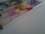 เจ้าสาวจำเป็น / มดสีชมพู แปล