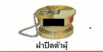 ฝาปิดตัวผู้(ฝาอุด) ชนิดทองเหลืองขนาด 1.5