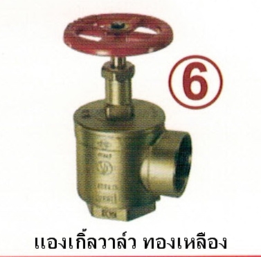 แองเกิ้ลวาล์วทองเหลือง1.5'และ 2.5'