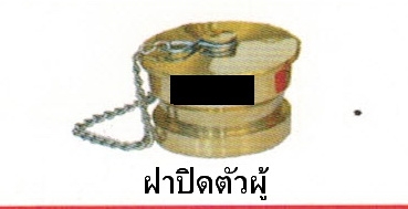ฝาปิดตัวผู้(ฝาอุด) ชนิดทองเหลืองขนาด 1.5'และ 2.5'