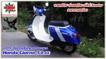 honda giorno honda-scoopy 50cc