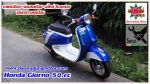 honda giorno honda-scoopy 50cc