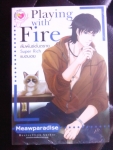 Playing with Fire สัมพันธ์อันตราย Super Rich แบดบอย