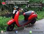 honda giorno honda-scoopy 50cc