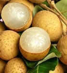 น้ำลำไย (Longan juice)