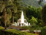 บ่อน้ำพุวงกลม 2 ชั้น พร้อมวง Ring และทรงต้นสน 8 หัว ที่ สวนน้ำทิพย์ วัลเล่ย์ ภูเรือ
