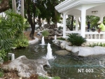 น้ำพุแต่งสวน บ่อ Free Form ต้นสน 6 หัว ที่บ้าน คุณานันทกุล